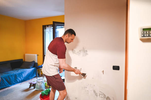 Best Mold Remediation  in Blanco, TX
